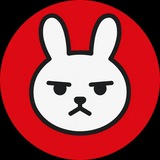 Telegram profile photo for Roki the Rabbit - $ROKI | Portal