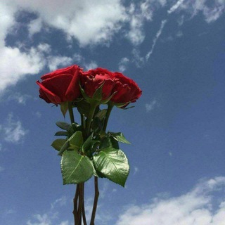 Telegram profile photo for أيلول'..❥