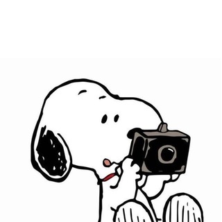 Telegram profile photo for ๐ข. ๐ฑ๐จ๐ฑ๐จ๏ผ๐pple โ s shop ๐ere ๐พ