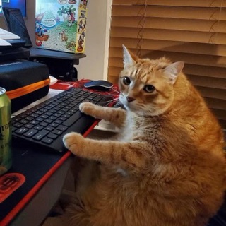 Telegram profile photo for Division