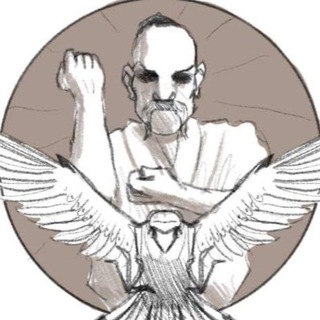 Telegram profile photo for Сокол