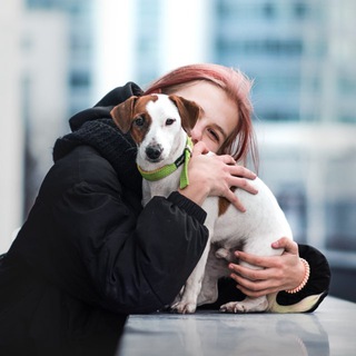 Telegram profile photo for хвостатая жопка🐶