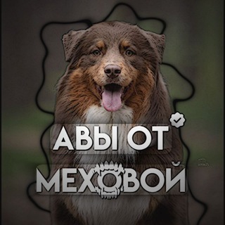 Telegram profile photo for Avatars from Mehovaya