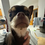Telegram profile photo for Жорж ставит