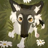 Telegram profile photo for Уголок наблюдателя