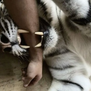 Telegram profile photo for ⋆˚࿔ 𝙄𝙣𝙛𝙤 𝙛𝙧𝙚𝙚𝙙𝙤𝙢 ♱