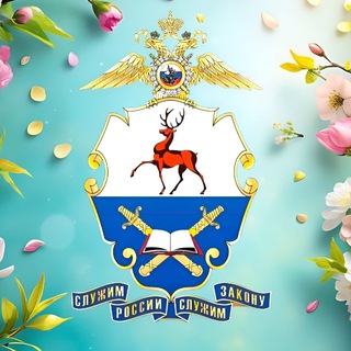 Telegram profile photo for Нижегородская академия МВД России