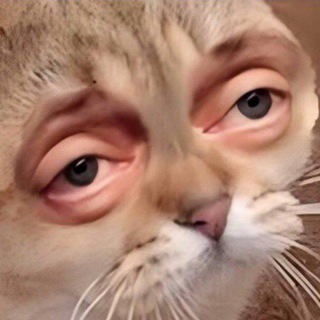 Telegram profile photo for Тревожный сыр | Мемы