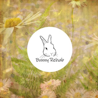Telegram profile photo for 🐇💜Bunny_rehab💜🐇