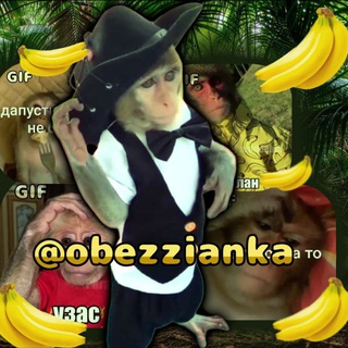 Telegram profile photo for Гифки с бибизьянами 🐵🙈🐒