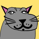 Telegram profile photo for TOMCAT