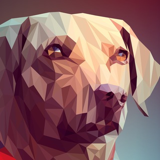 Telegram profile photo for OS.dog Новости