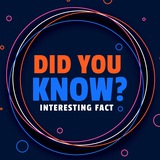 Telegram profile photo for Fact Reviewer | Рецензент Фактов