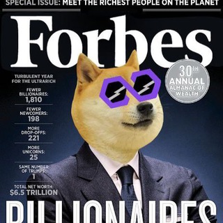 Telegram profile photo for PolyDoge Announcements