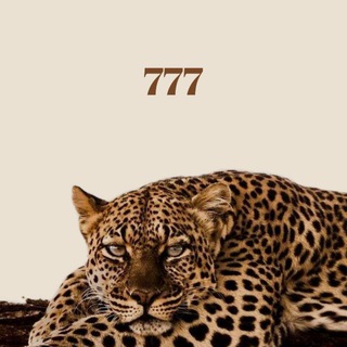 Telegram profile photo for ππ΅π²π ππ²π»π