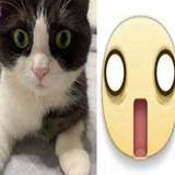 Telegram profile photo for переезд