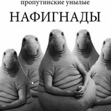 Telegram profile photo for клуб ракообразных. существен тихоходок!