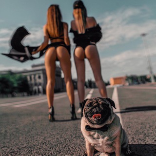 Telegram profile photo for 天津修车大队