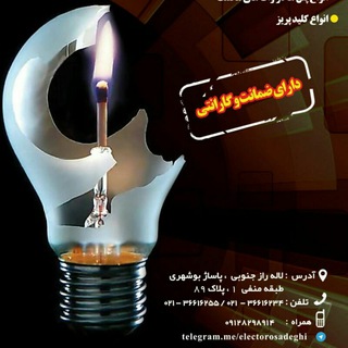 Telegram profile photo for الکترو صنعت صادقی.