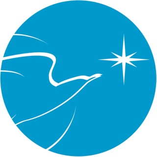 Telegram profile photo for МетаШкола