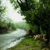 Telegram profile photo for کانال،خبری،اخبار،هواشناسی،شهر،بوئین،بویین،زهرا،شال،اسفرورین،اوج،دانسفهان،ضیااباد،خرمدشت،نرجه،سگزاباد