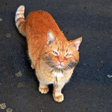 Telegram profile photo for Еда, склад, вещи