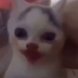 Telegram profile photo for ты че уеба