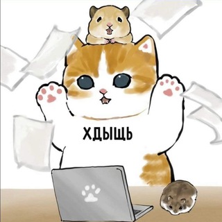 Telegram profile photo for ору ор