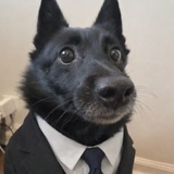 Telegram profile photo for разводовский