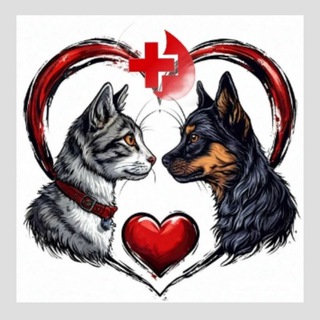 Telegram profile photo for ДОНОРЫ КРОВИ 🐶🐱/ 25 РЕГИОН