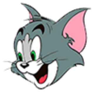 Telegram profile photo for TOM CVV 教学