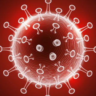 Telegram profile photo for COVID-19 (Malaysia & The Earth)