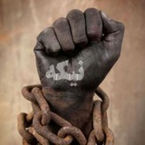 Telegram profile photo for نشریهیِ نیکه