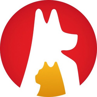 Telegram profile photo for ЗООГУРМАН/ZOOGURMAN
