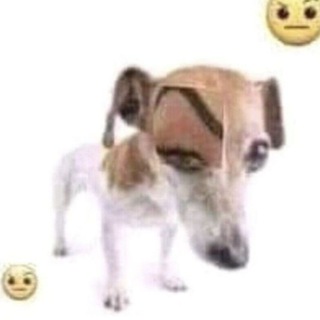 Telegram profile photo for Пашка Четри