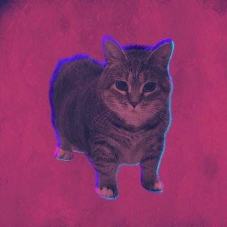 Telegram profile photo for YUME YUME