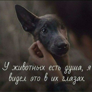 Telegram profile photo for Лучик Надежды