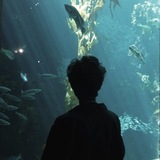 Telegram profile photo for pErCy JaCkSoN