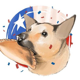 Telegram profile photo for Chile