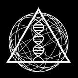 Telegram profile photo for The OSOK Group