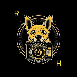 Telegram profile photo for ✨Richard’s House✨