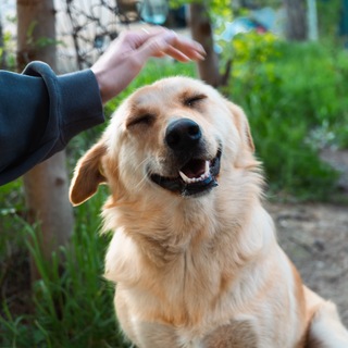 Telegram profile photo for Продажа вещей