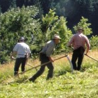 Telegram profile photo for Ruralpini resistenza rurale