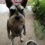 Telegram profile photo for $ANGRY PORTAL