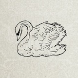 Telegram profile photo for She