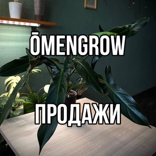 Telegram profile photo for 🌿 Ventes de ŌMENGROW