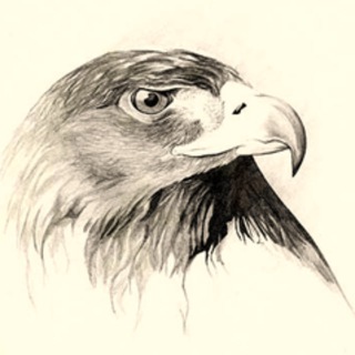 Telegram profile photo for Intelligencia