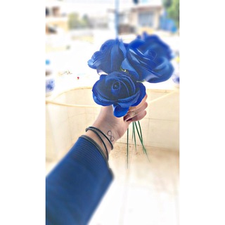 Telegram profile photo for 𝐇𝐞𝐚𝐫𝐭 𝐨𝐟 𝐁𝐥𝐮𝐞 💙 .