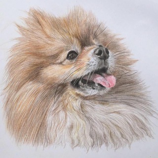 Telegram profile photo for Riistar