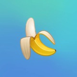 Telegram profile photo for Sheif's INFO